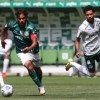 Abel pede e Palmeiras realiza jogo treino no Allianz Parque em busca de ritmo de competição