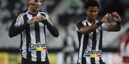 Após vitória, chances de acesso do Botafogo à Série A sobem para 93%