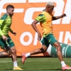 Aproveitamento do Palmeiras chega a quase 70% com Zé Rafael e Danilo em campo