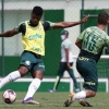 Atacante do Palmeiras, Newton é convocado para a seleção do Panamá