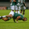 Atacante Lucão espera grande jogo do Guarani diante do Cruzeiro pela Série B 2021