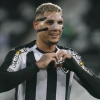Botafogo não desiste e vai apresentar novo projeto financeiro a Rafael Navarro, que recusou Estados Unidos