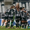 Botafogo x Operário: prováveis times, desfalques e onde assistir ao jogo da Série B