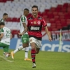 Chapecoense x Flamengo: prováveis times, desfalques e onde assistir