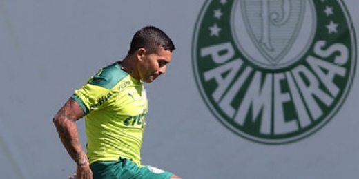 Com camisa 7 ocupada, confira opções para Dudu e demais reforços na Libertadores