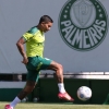 Com Dudu em campo, Palmeiras faz treino tático e encerra preparação para o clássico diante do Santos