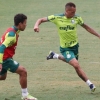 Com Piquerez, Palmeiras segue preparação para duelo pela Libertadores; veja provável time