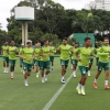 Com voo fretado, Palmeiras lança pacotes para torcedores que querem ver Mundial pessoalmente