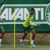 Danilo volta aos treinos no Palmeiras e vira esperança para decisão do Paulistão