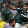 Dudu lamenta pontos perdidos contra o Fluminense e projeta partida pela Copa do Brasil
