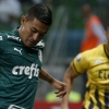 Dudu sinaliza volta ao Palmeiras a Ademir da Guia