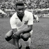 Empresa promove leilão solidário para celebrar aniversário de Pelé