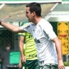 Escalação do Palmeiras: Técnico do sub-20 comanda treino e encerra preparação para enfrentar Athletico-PR