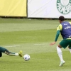 Escalação do Palmeiras: Verdão treina para último jogo da temporada