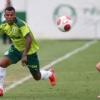 Fazendo história pelo Palmeiras, Veron conta como foi recebido em sua cidade: ‘Felicidade imensa’