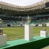 Inauguração da sala de troféus terá transmissão ao vivo da TV Palmeiras Plus