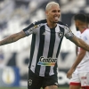 Navarro, meio, torcida e mais: o que ficar de olho no Botafogo contra o Avaí, pela Série B