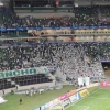 Palmeiras anuncia parcial com mais de 12 mil ingressos vendidos para o confronto contra o Atlético-MG