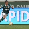 Palmeiras atinge vitória de número 150 no Allianz Parque e dupla emplaca novos recordes
