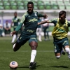 Palmeiras avança em negociações para emprestar Pedrão e Angulo