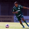 Palmeiras renova com Gabriel Vareta e multa rescisória chega a meio bilhão