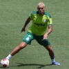 Palmeiras tem volta de cinco afastados pela Covid-19; Rafael Navarro treina pela primeira vez
