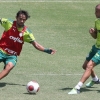Palmeiras volta aos treinos após título com foco total em reta final complicada no Paulistão