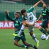 Palmeiras x Chapecoense: onde assistir ao duelo pelo Brasileirão, arbitragem e escalações