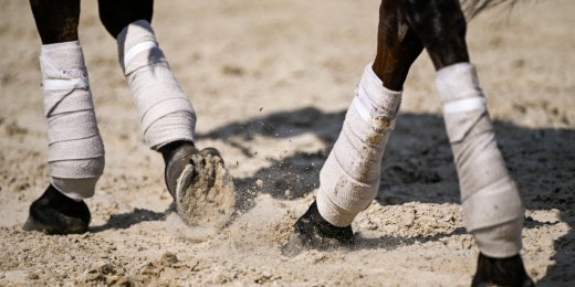 Picks de corrida de cavalos gratuitos: Estacas de Stephen Foster | Churchill Downs