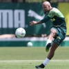 Pitbull paz e amor: Felipe Melo tem início de ano com menos cartões pelo Palmeiras