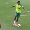 Recém-contratado pelo Palmeiras, Jailson treina pela primeira vez com o grupo
