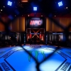 UFC Fight Night Odds: Zumbi coreano vs Dan Ige Tips and Picks