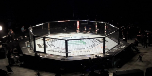 UFC Vegas 32: Sandhagen vs Dillashaw Odds & Previsão de apostas