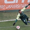 Visando o Mundial, Palmeiras intensifica treinos de faltas e pênaltis