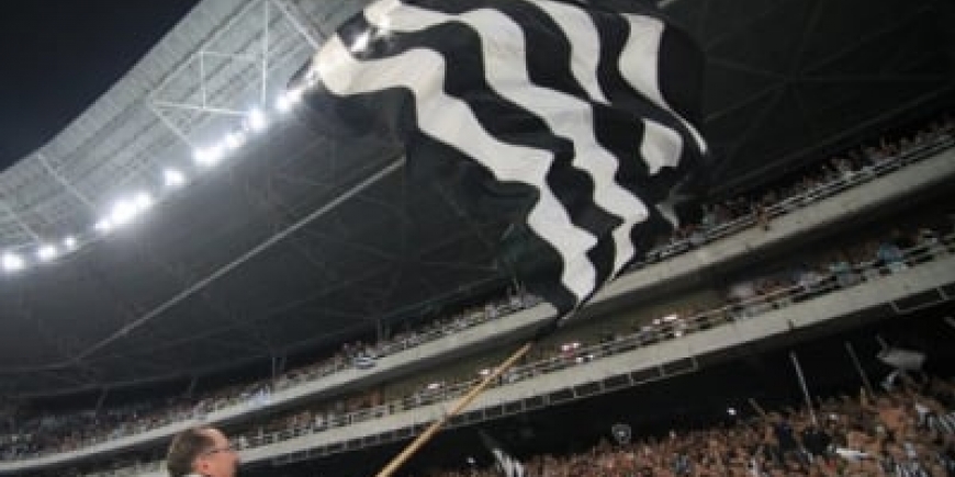 Botafogo - torcida e Textor_3
